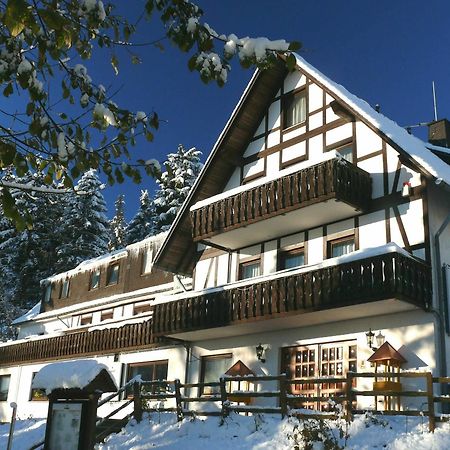 Pension Stiegelmeier Winterberg Exteriör bild